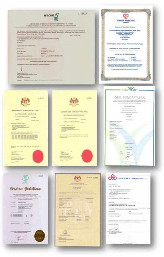 Company licence and registration certificate scan